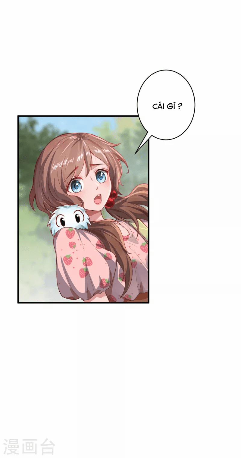 Ta Vốn Là Mèo 10 trang 0