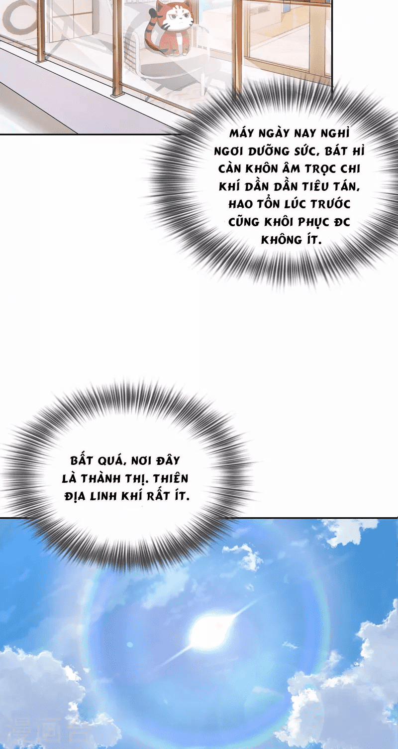 Ta Vốn Là Mèo 2 trang 22