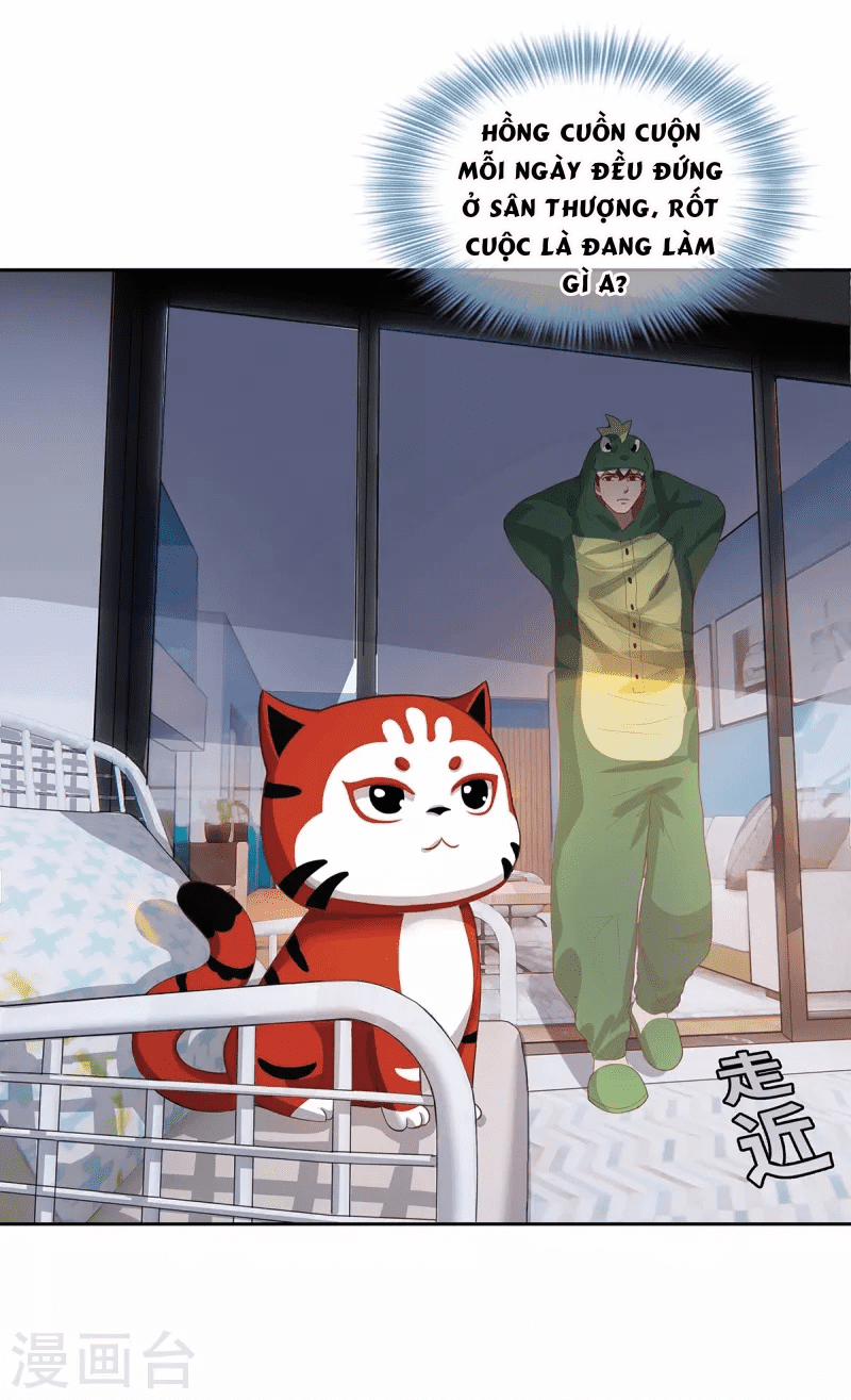 Ta Vốn Là Mèo 2 trang 24