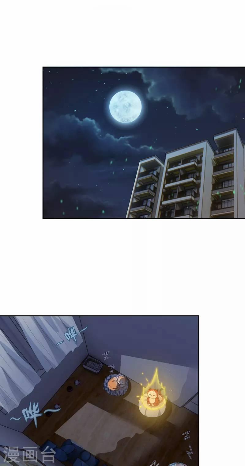 Ta Vốn Là Mèo 2 trang 35