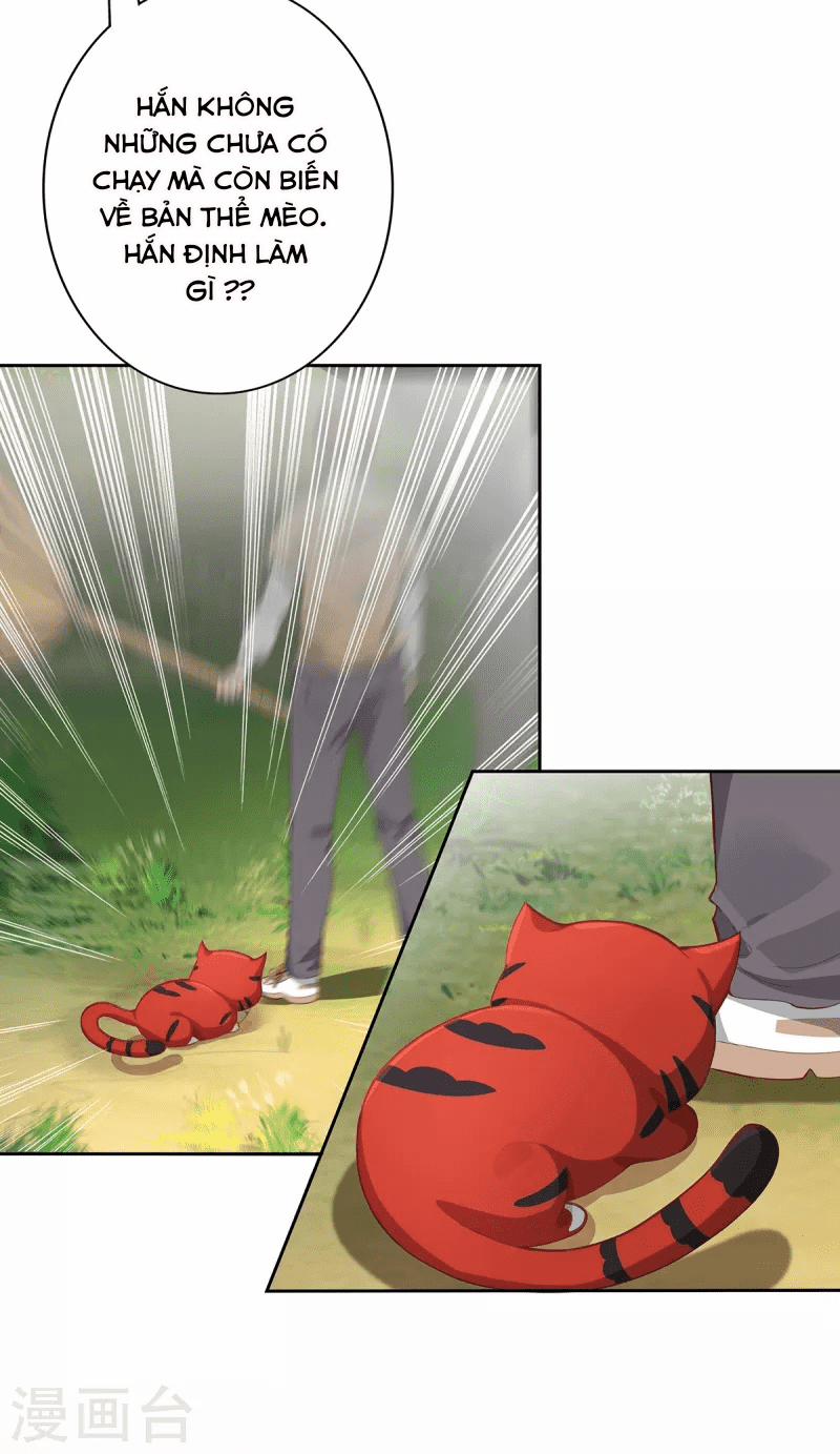 Ta Vốn Là Mèo 2 trang 7