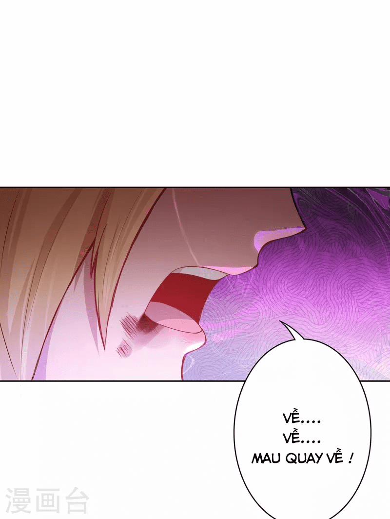 Ta Vốn Là Mèo 4 trang 17