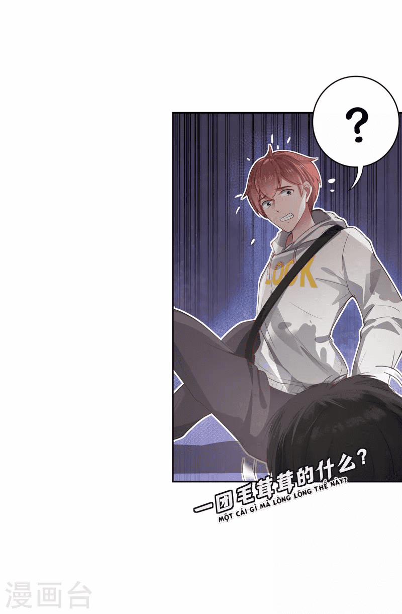 Ta Vốn Là Mèo 5 trang 6