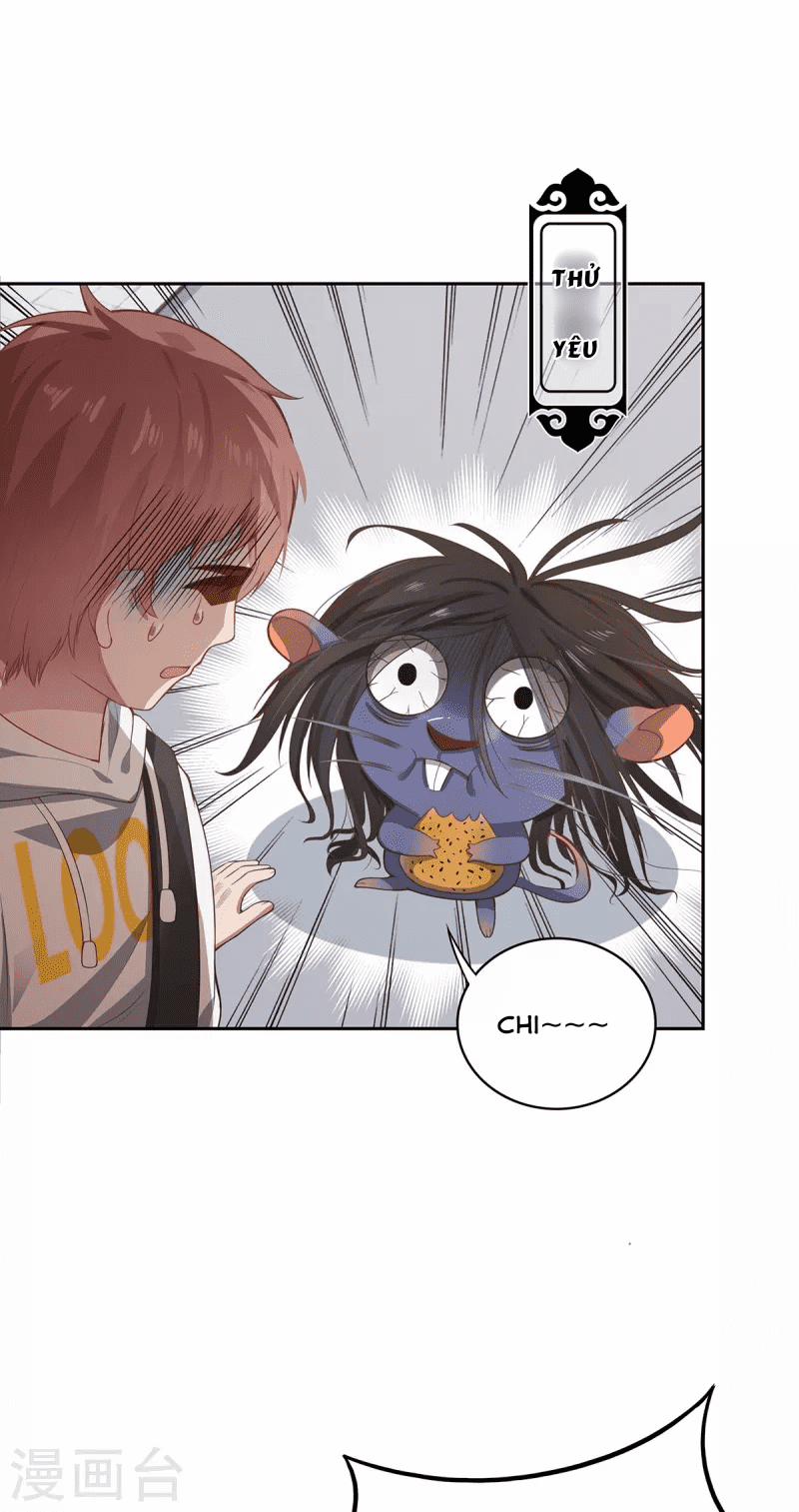 Ta Vốn Là Mèo 5 trang 7