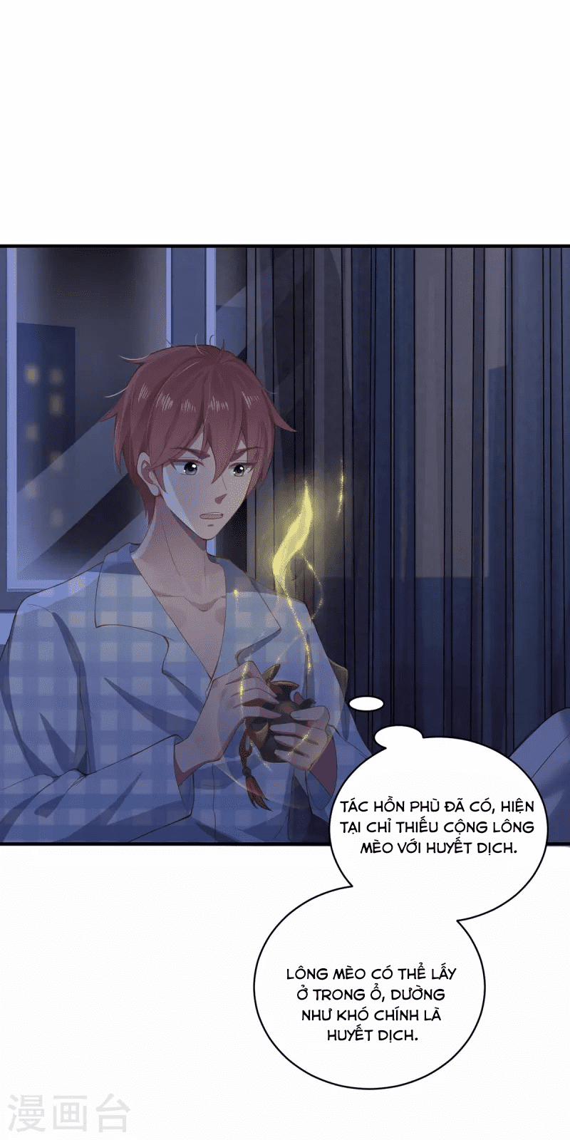 Ta Vốn Là Mèo 6 trang 26