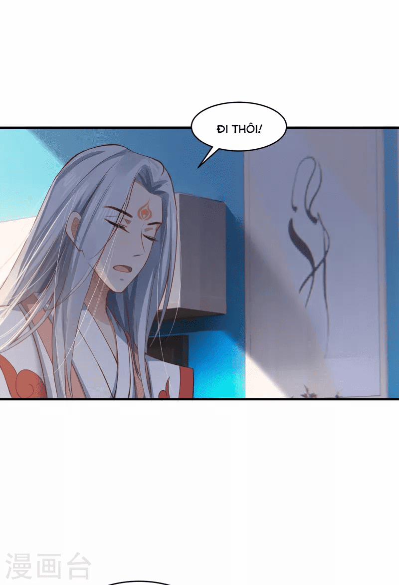 Ta Vốn Là Mèo 7 trang 11