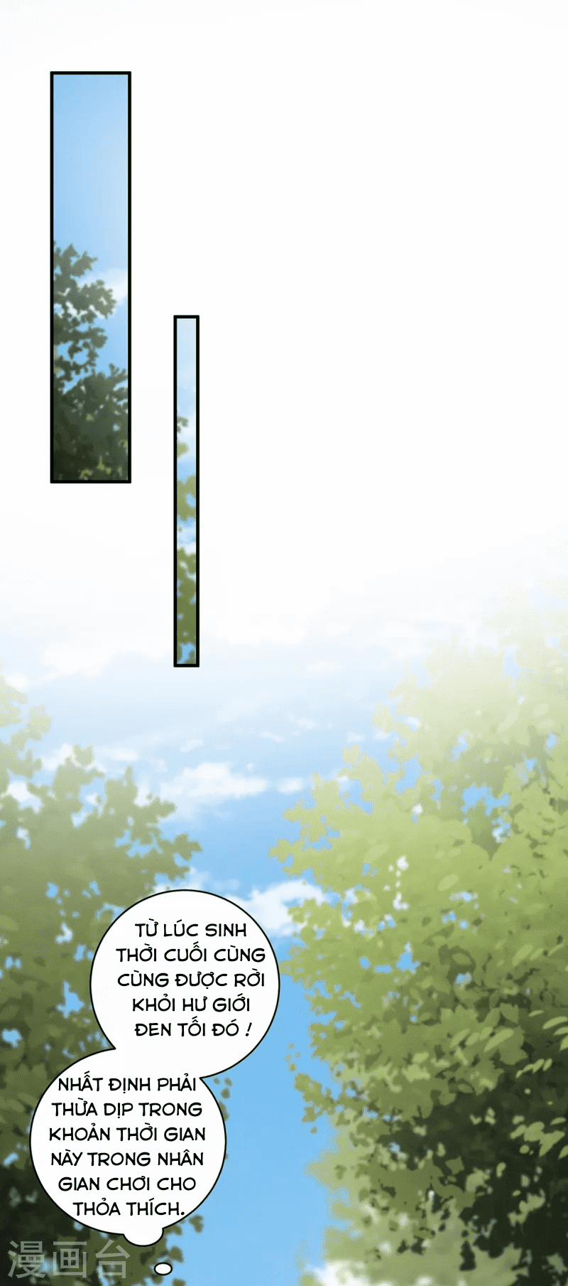 Ta Vốn Là Mèo 8 trang 0