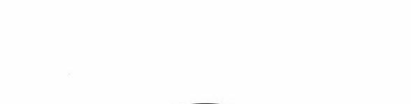 Tái Sinh Thành Con Gái Thứ Hai 11.2 trang 26