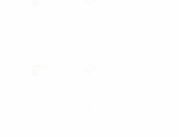 Tái Sinh Thành Con Gái Thứ Hai 16.2 trang 13