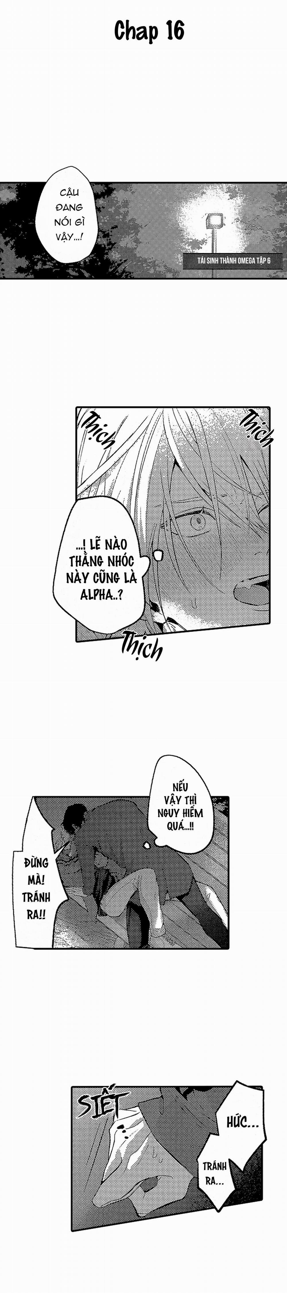 Tái sinh thành một Omega 16 trang 1