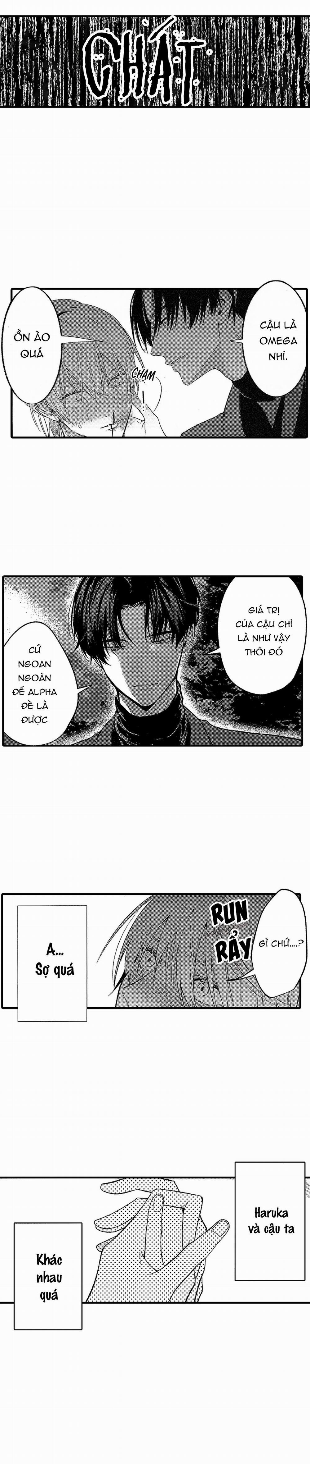 Tái sinh thành một Omega 16 trang 3