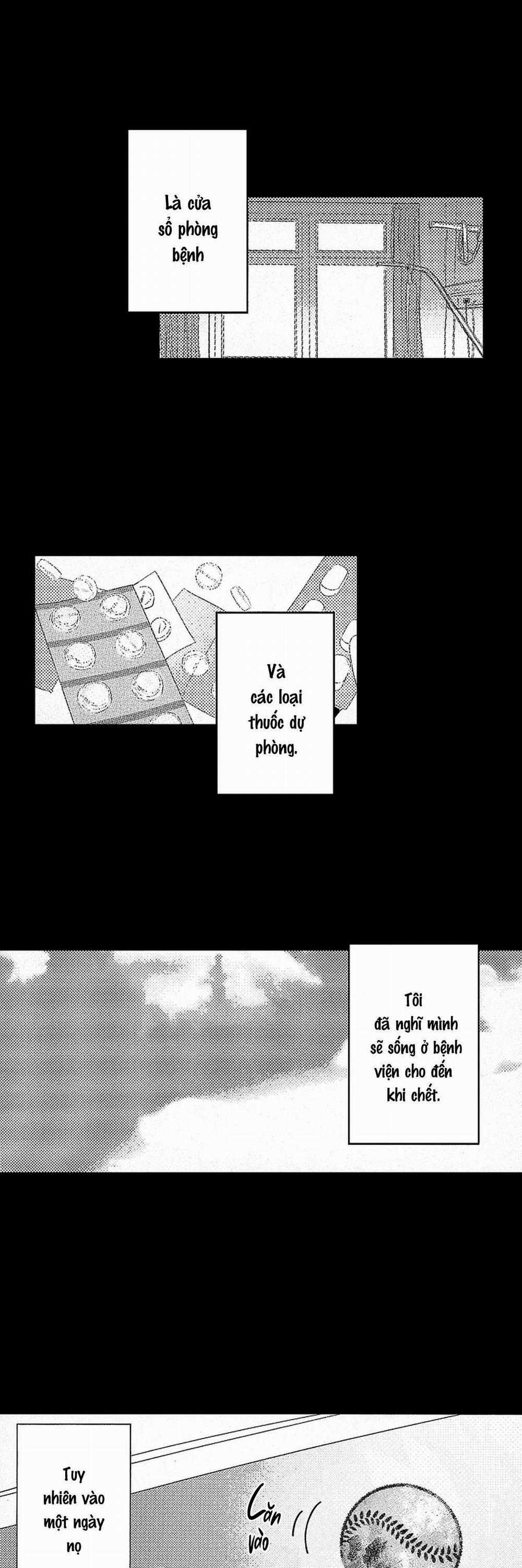 Tái sinh thành một Omega 9 trang 8