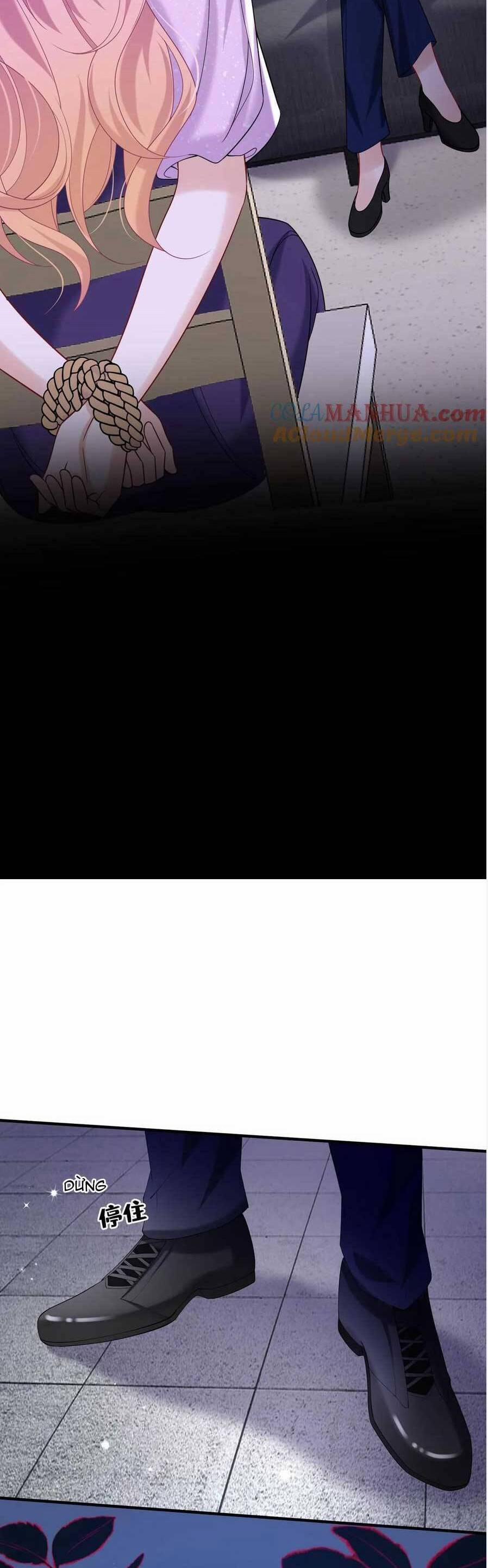 Tái Sinh Trở Lại : Chồng Cũ Khóc Lóc Cầu Xin Tái Hôn 136 trang 30