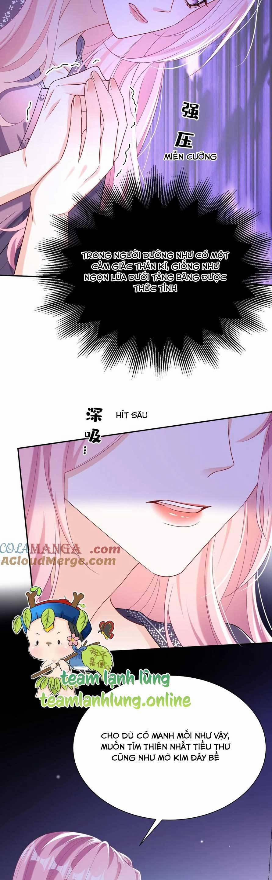 Tái Sinh Trở Lại : Chồng Cũ Khóc Lóc Cầu Xin Tái Hôn 154 trang 10