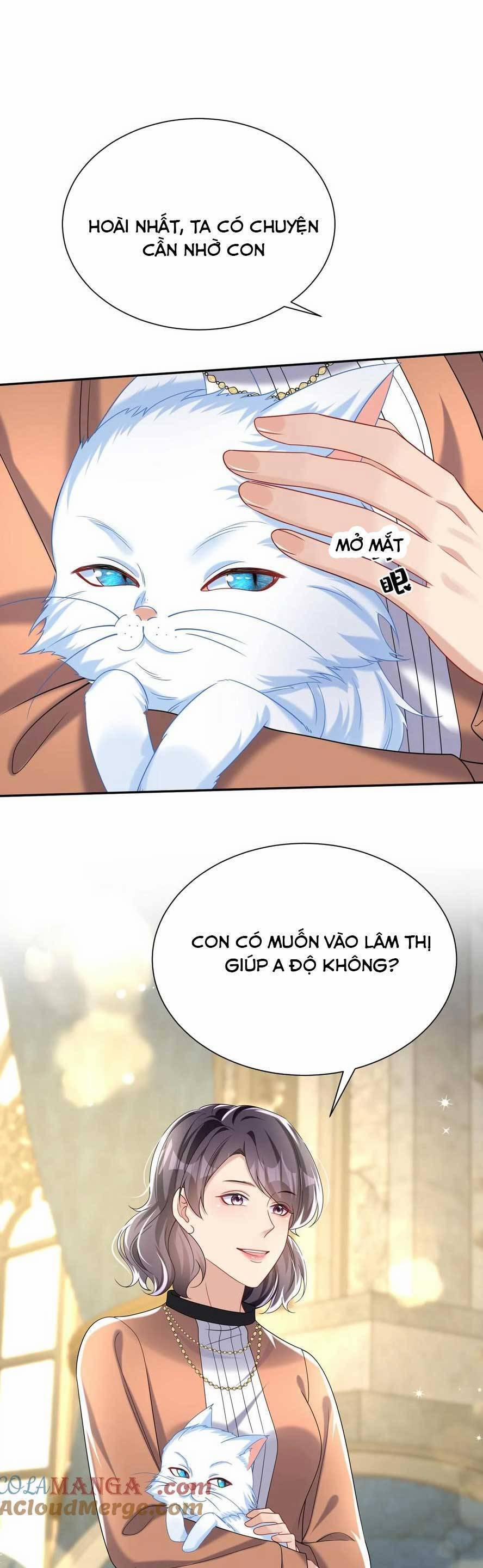 Tái Sinh Trở Lại : Chồng Cũ Khóc Lóc Cầu Xin Tái Hôn 155 trang 13