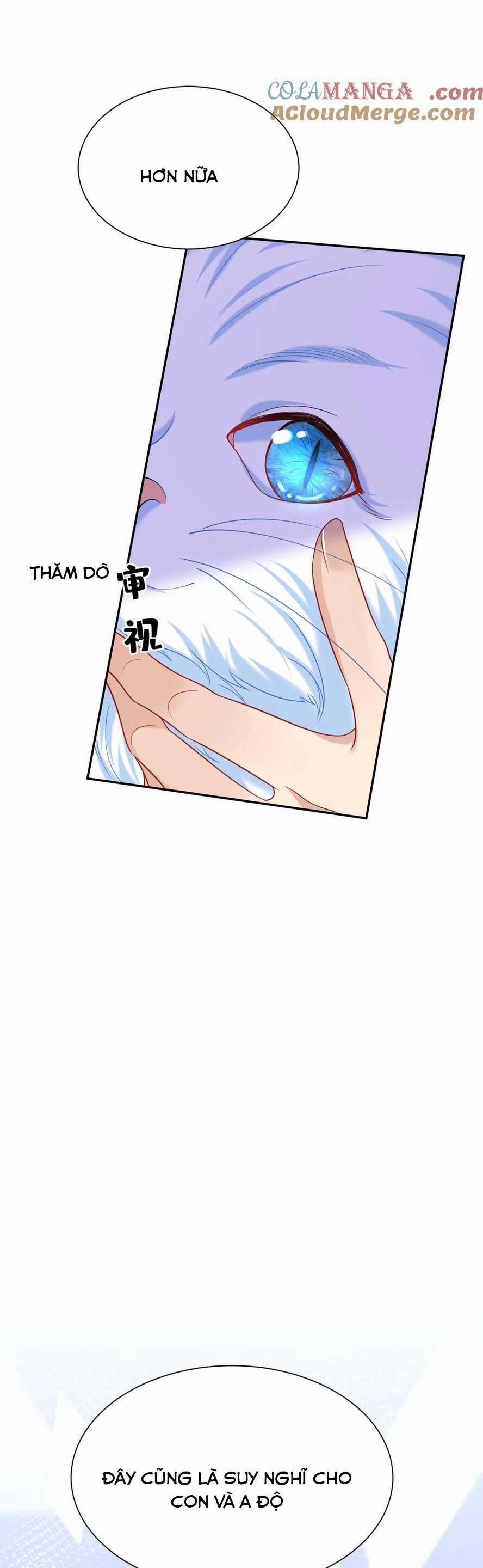 Tái Sinh Trở Lại : Chồng Cũ Khóc Lóc Cầu Xin Tái Hôn 155 trang 15