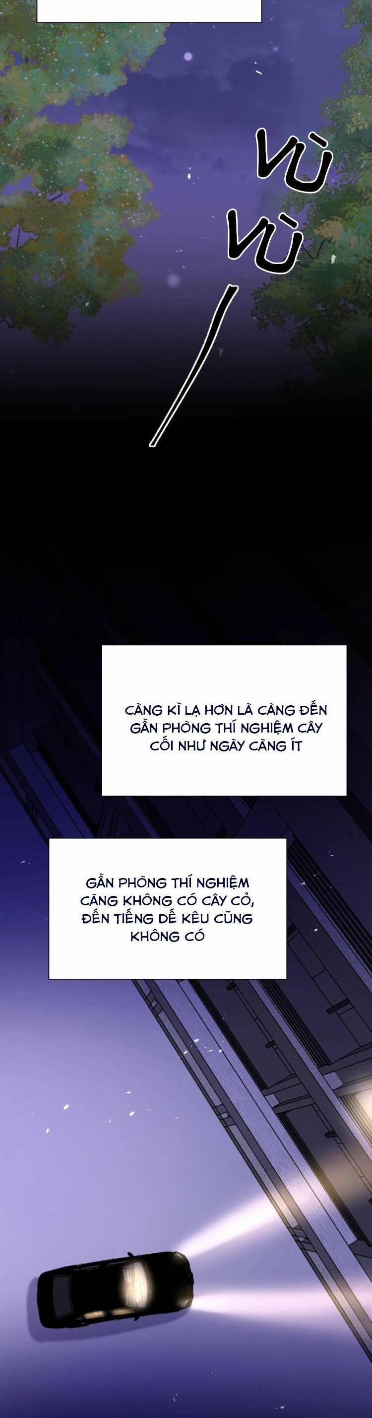 Tái Sinh Trở Lại : Chồng Cũ Khóc Lóc Cầu Xin Tái Hôn 157 trang 2