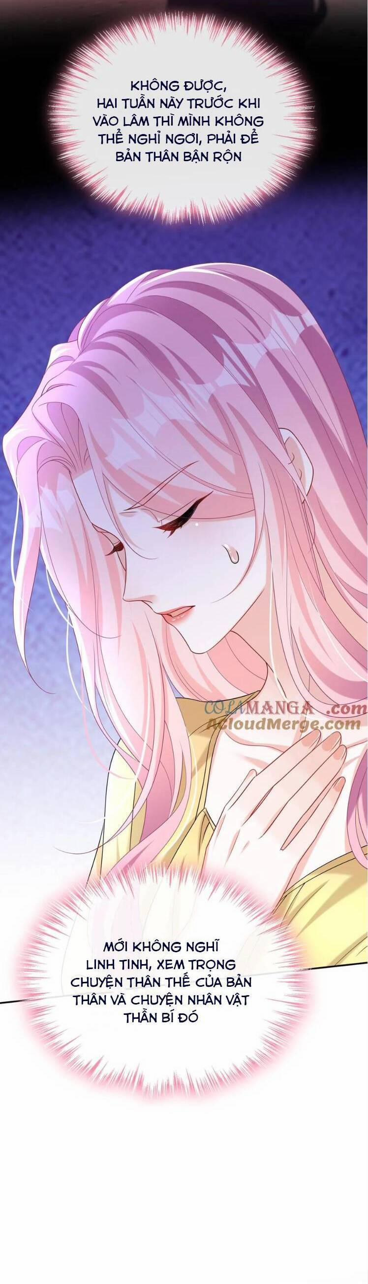 Tái Sinh Trở Lại : Chồng Cũ Khóc Lóc Cầu Xin Tái Hôn 157 trang 24