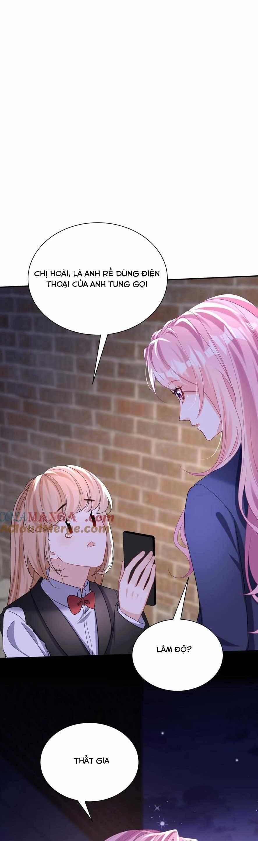 Tái Sinh Trở Lại : Chồng Cũ Khóc Lóc Cầu Xin Tái Hôn 169 trang 15