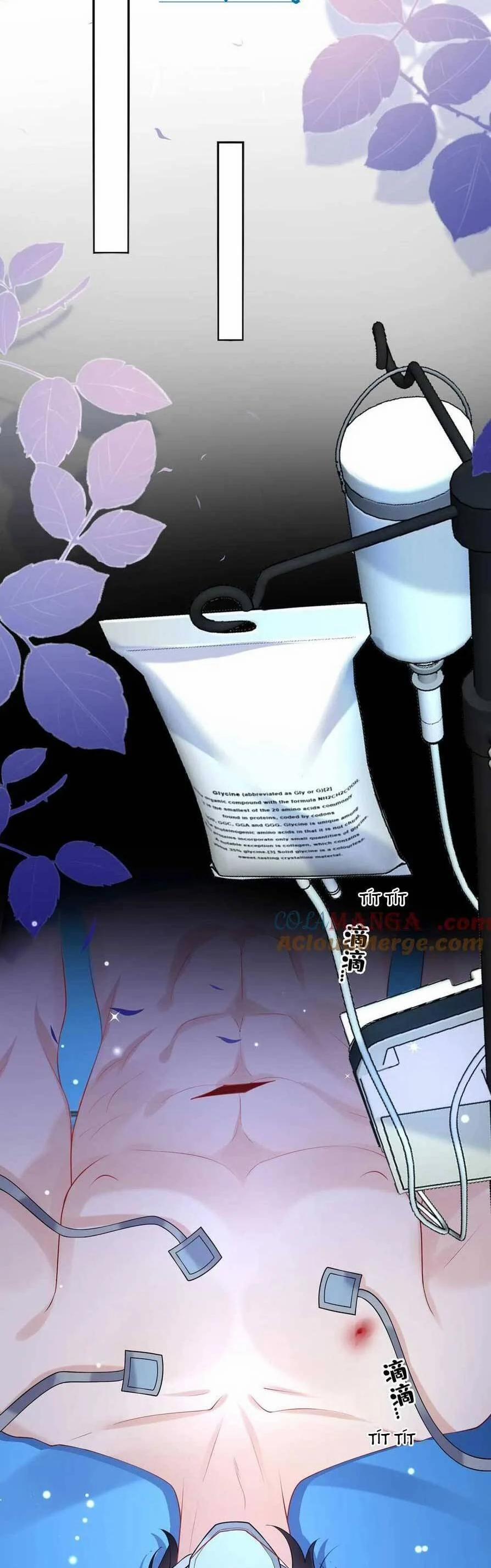 Tái Sinh Trở Lại : Chồng Cũ Khóc Lóc Cầu Xin Tái Hôn 170 trang 5