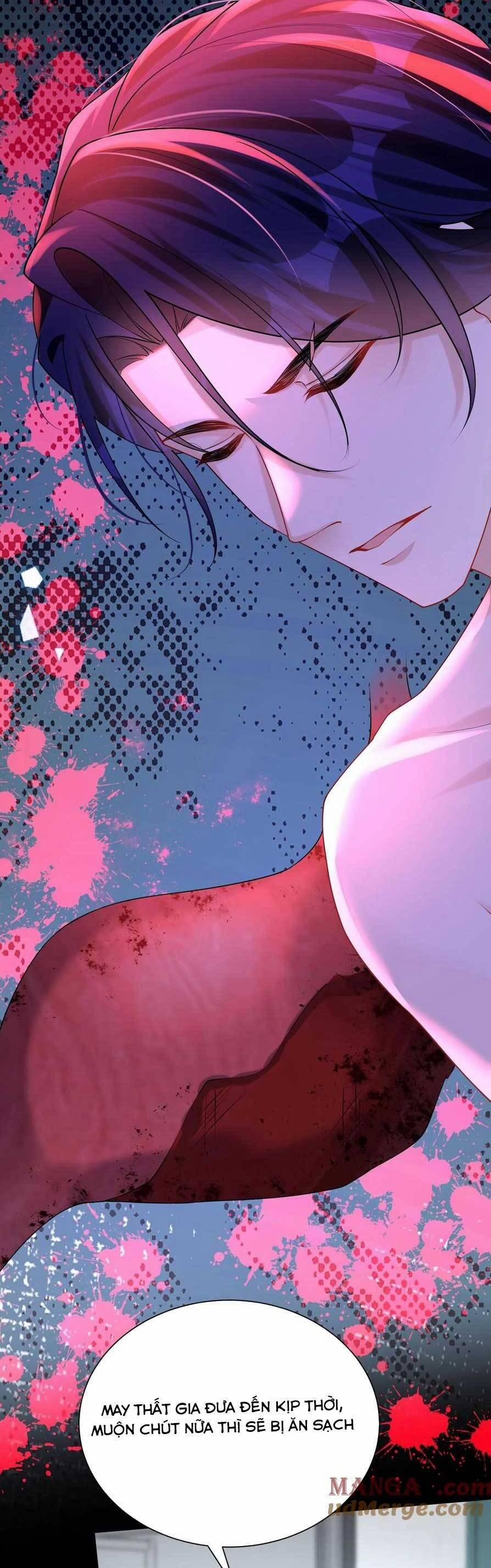 Tái Sinh Trở Lại : Chồng Cũ Khóc Lóc Cầu Xin Tái Hôn 170 trang 8