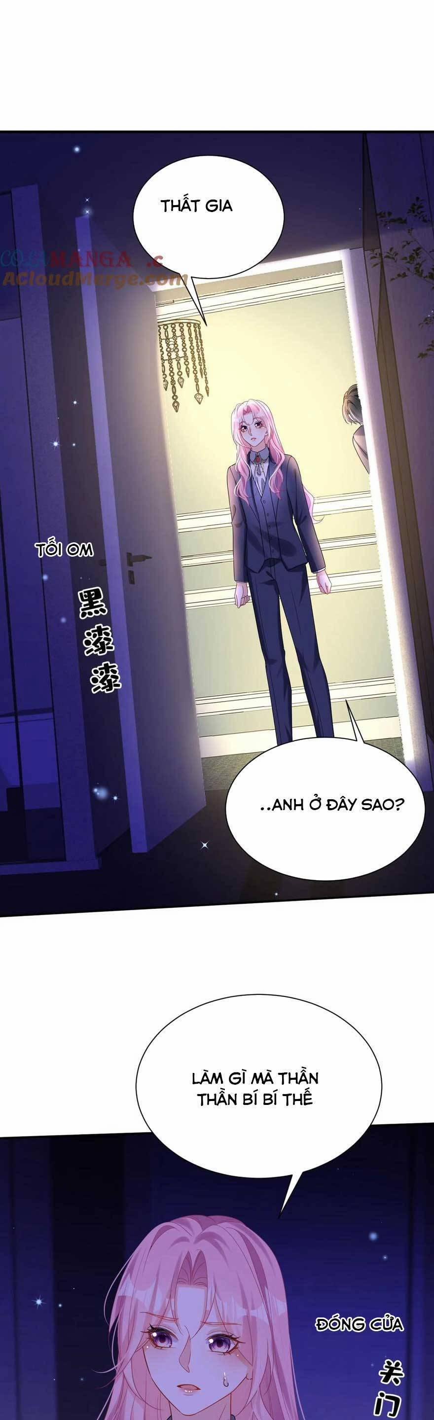 Tái Sinh Trở Lại : Chồng Cũ Khóc Lóc Cầu Xin Tái Hôn 171 trang 16