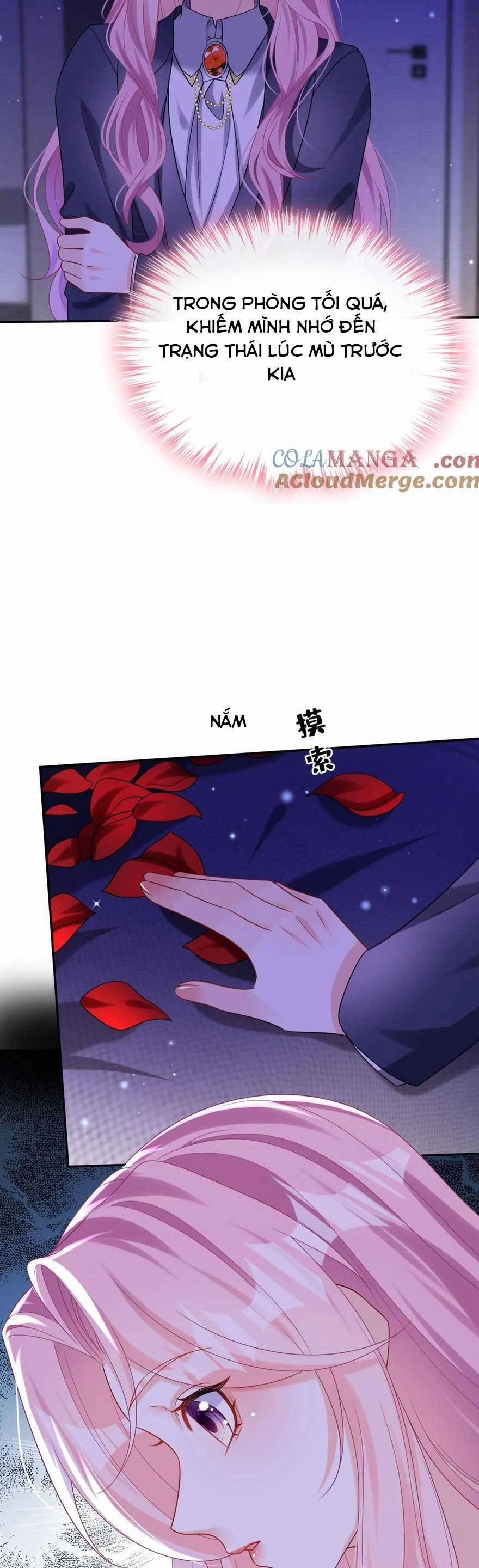 Tái Sinh Trở Lại : Chồng Cũ Khóc Lóc Cầu Xin Tái Hôn 171 trang 17