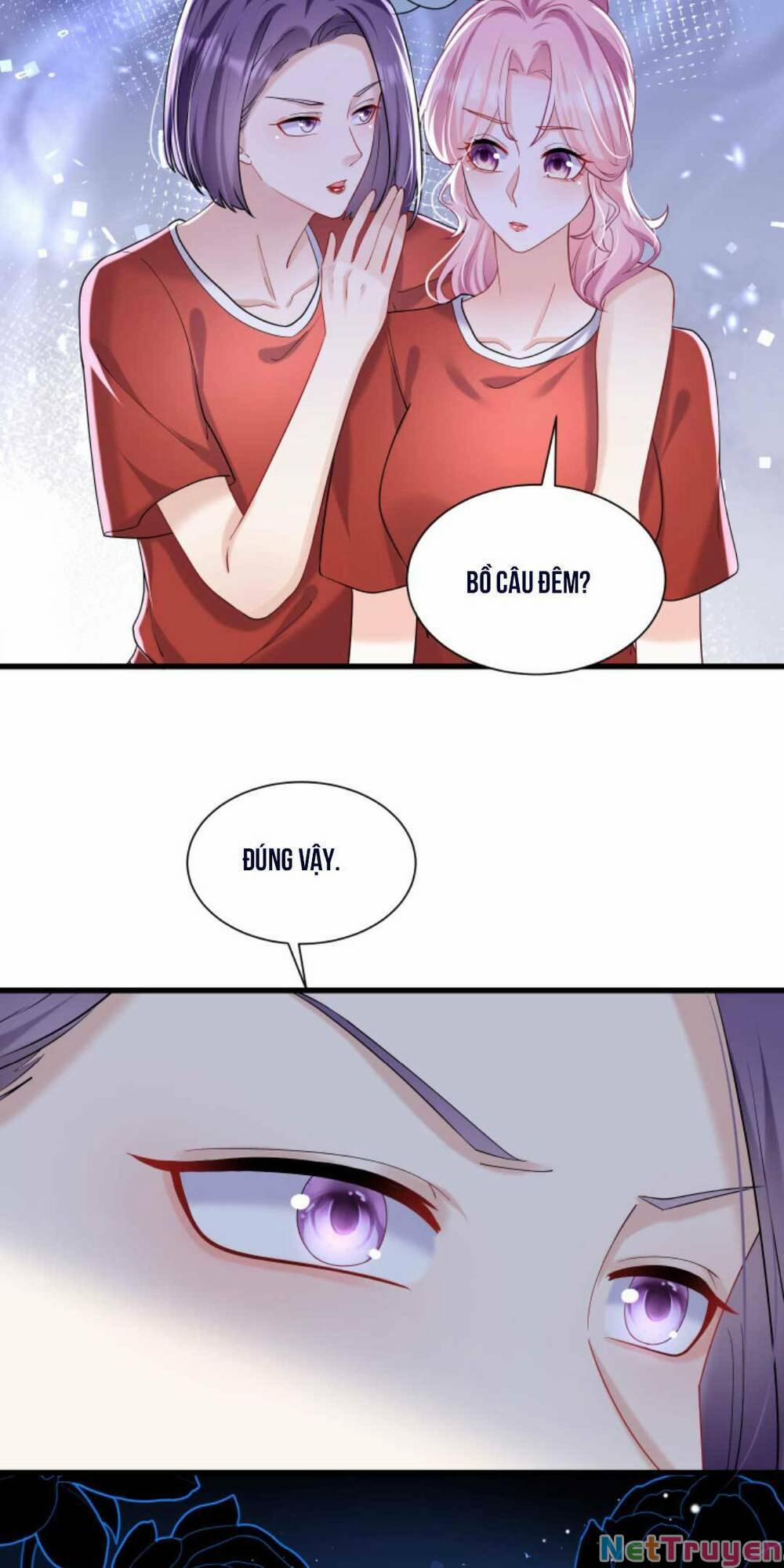 Tái Sinh Trở Lại : Chồng Cũ Khóc Lóc Cầu Xin Tái Hôn 52 trang 5