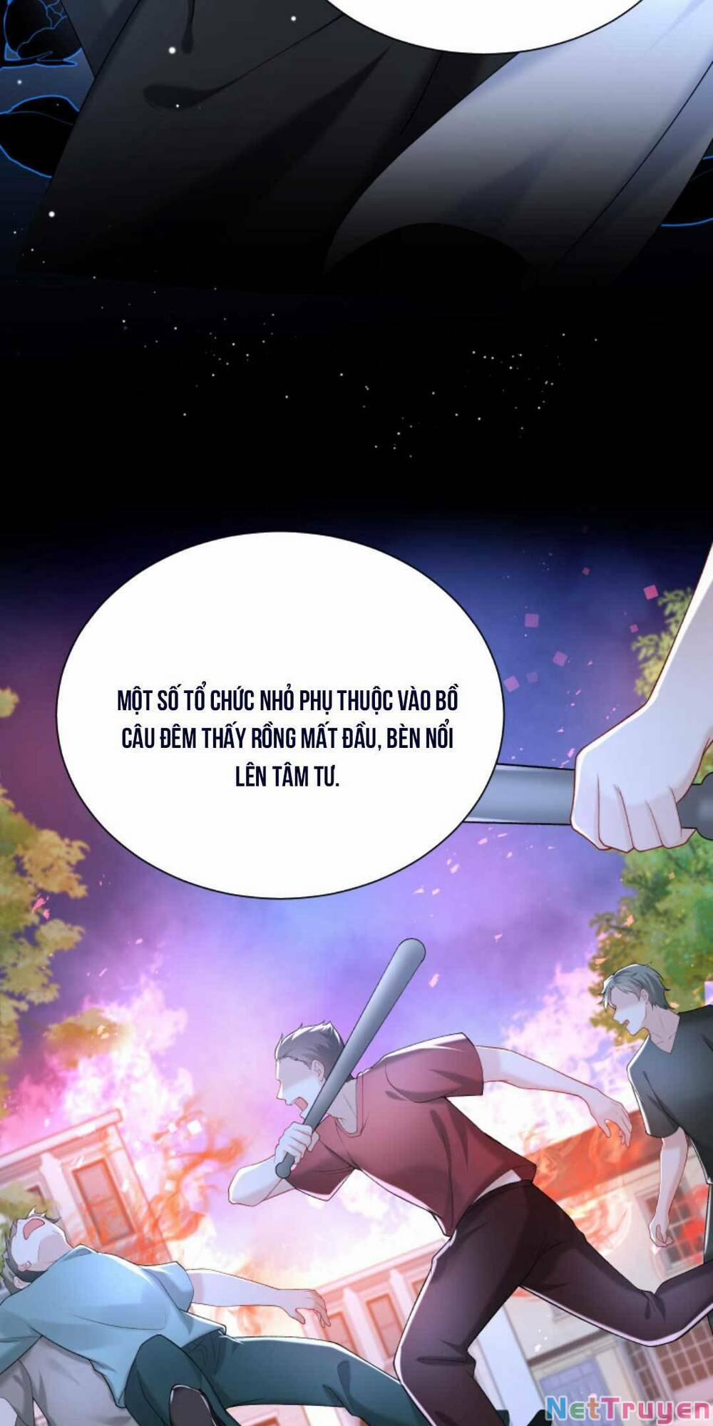 Tái Sinh Trở Lại : Chồng Cũ Khóc Lóc Cầu Xin Tái Hôn 52 trang 7