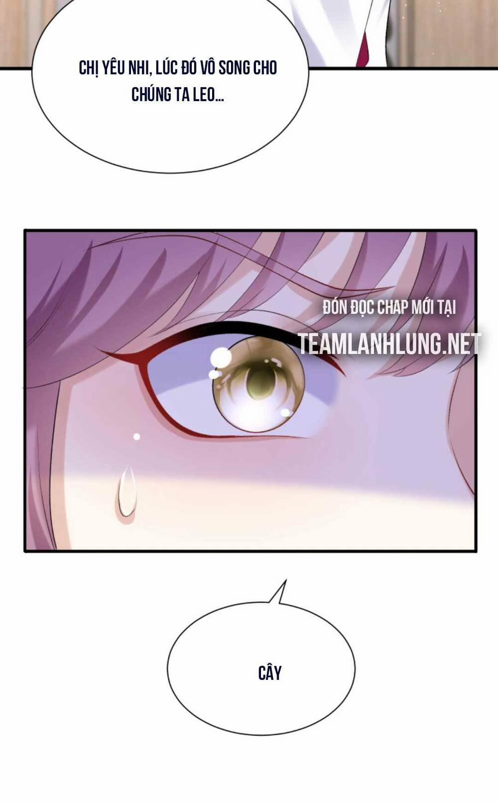 Tái Sinh Trở Lại : Chồng Cũ Khóc Lóc Cầu Xin Tái Hôn 63 trang 24