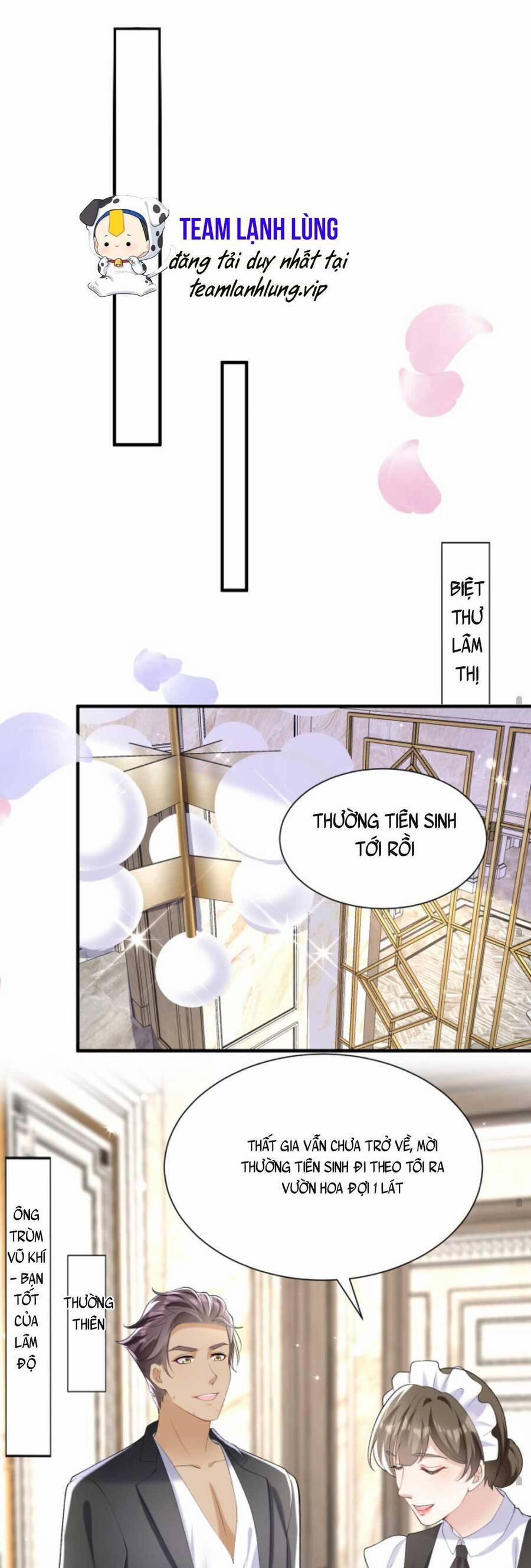 Tái Sinh Trở Lại : Chồng Cũ Khóc Lóc Cầu Xin Tái Hôn 85 trang 15