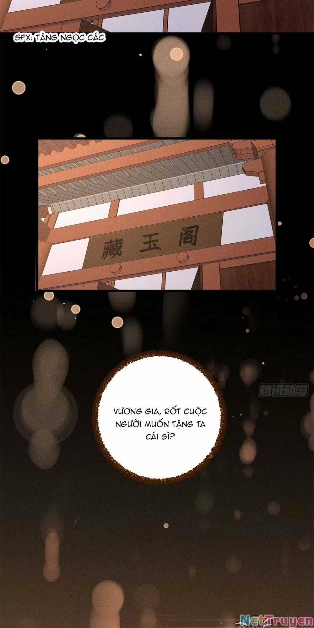 Tái Sinh Trở Lại : Ta Trở Thành Độc Y Thái Tử Phi 10 trang 3