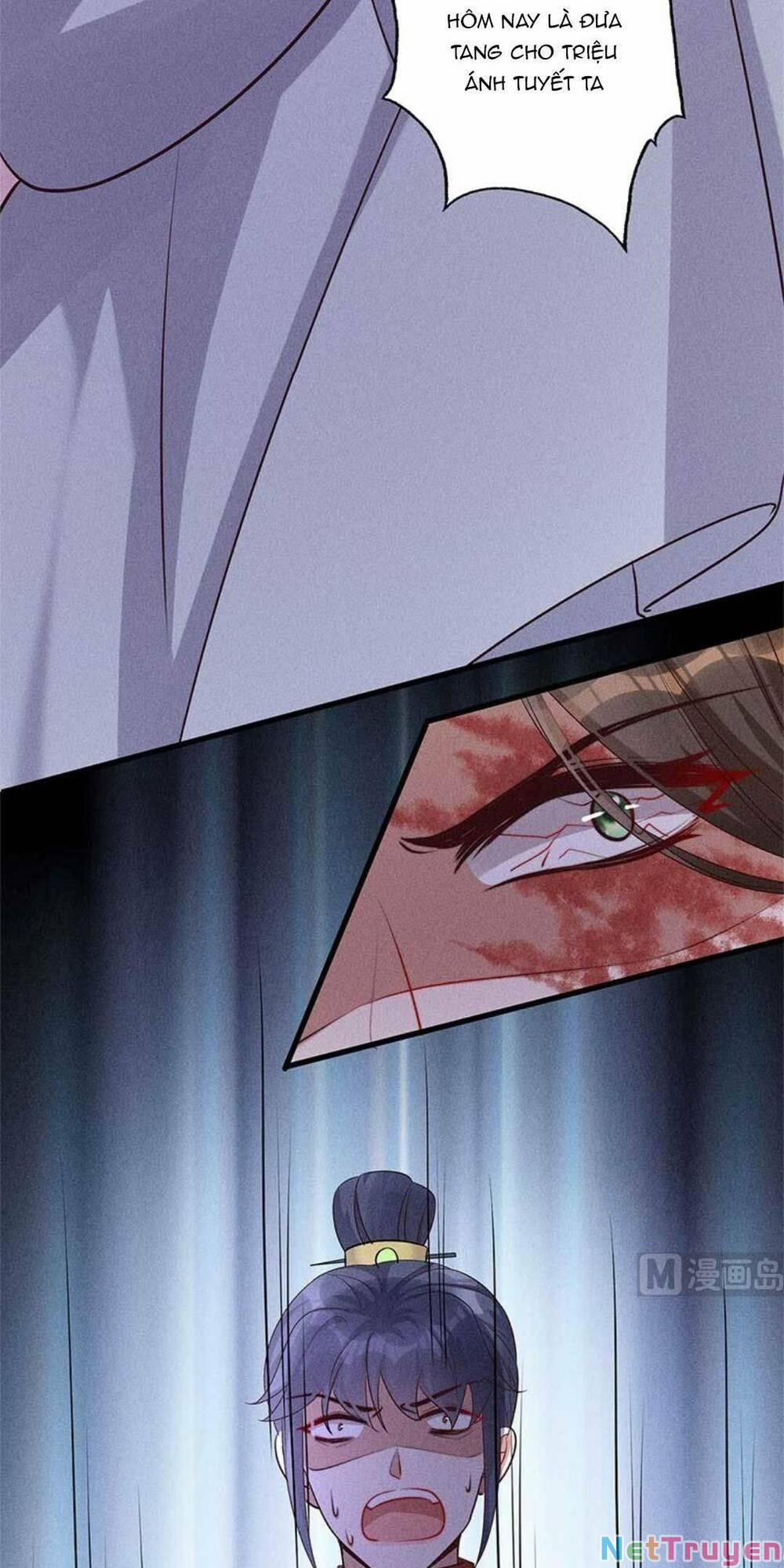 Tái Sinh Trở Lại : Ta Trở Thành Độc Y Thái Tử Phi 11 trang 12