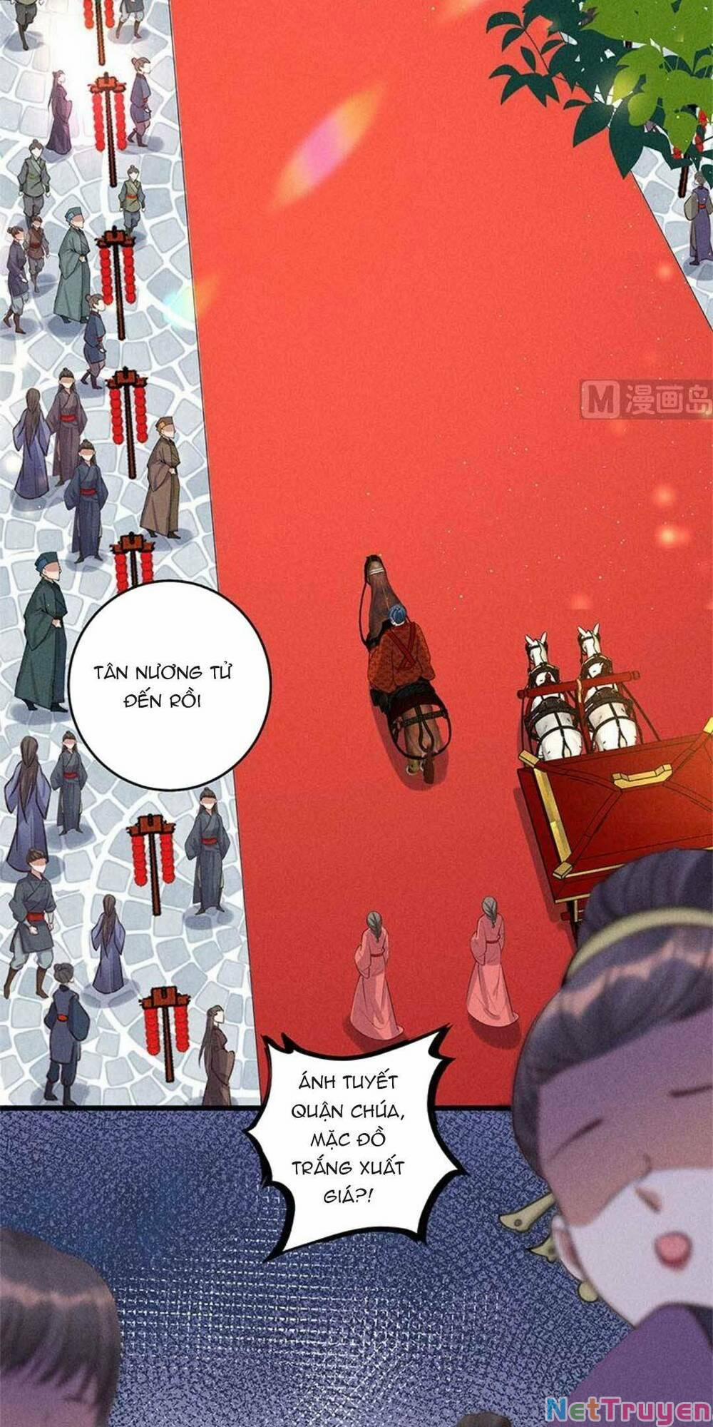 Tái Sinh Trở Lại : Ta Trở Thành Độc Y Thái Tử Phi 12 trang 2