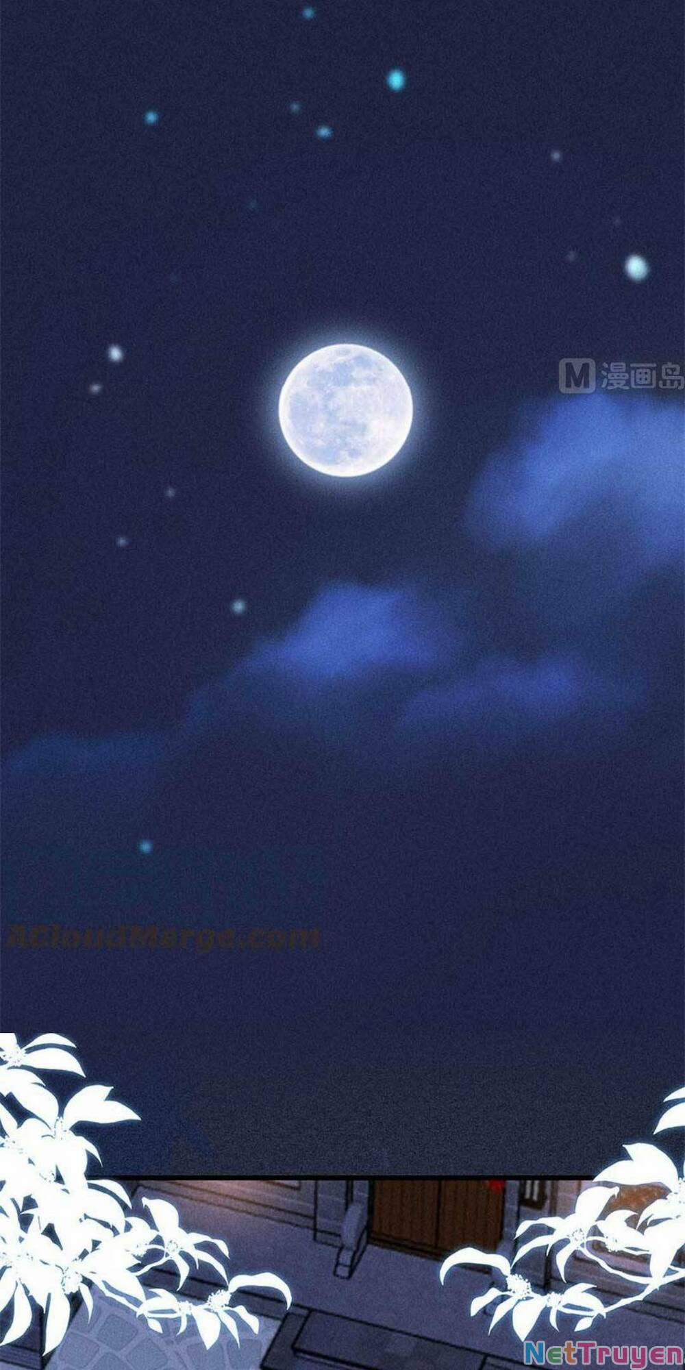 Tái Sinh Trở Lại : Ta Trở Thành Độc Y Thái Tử Phi 12 trang 47