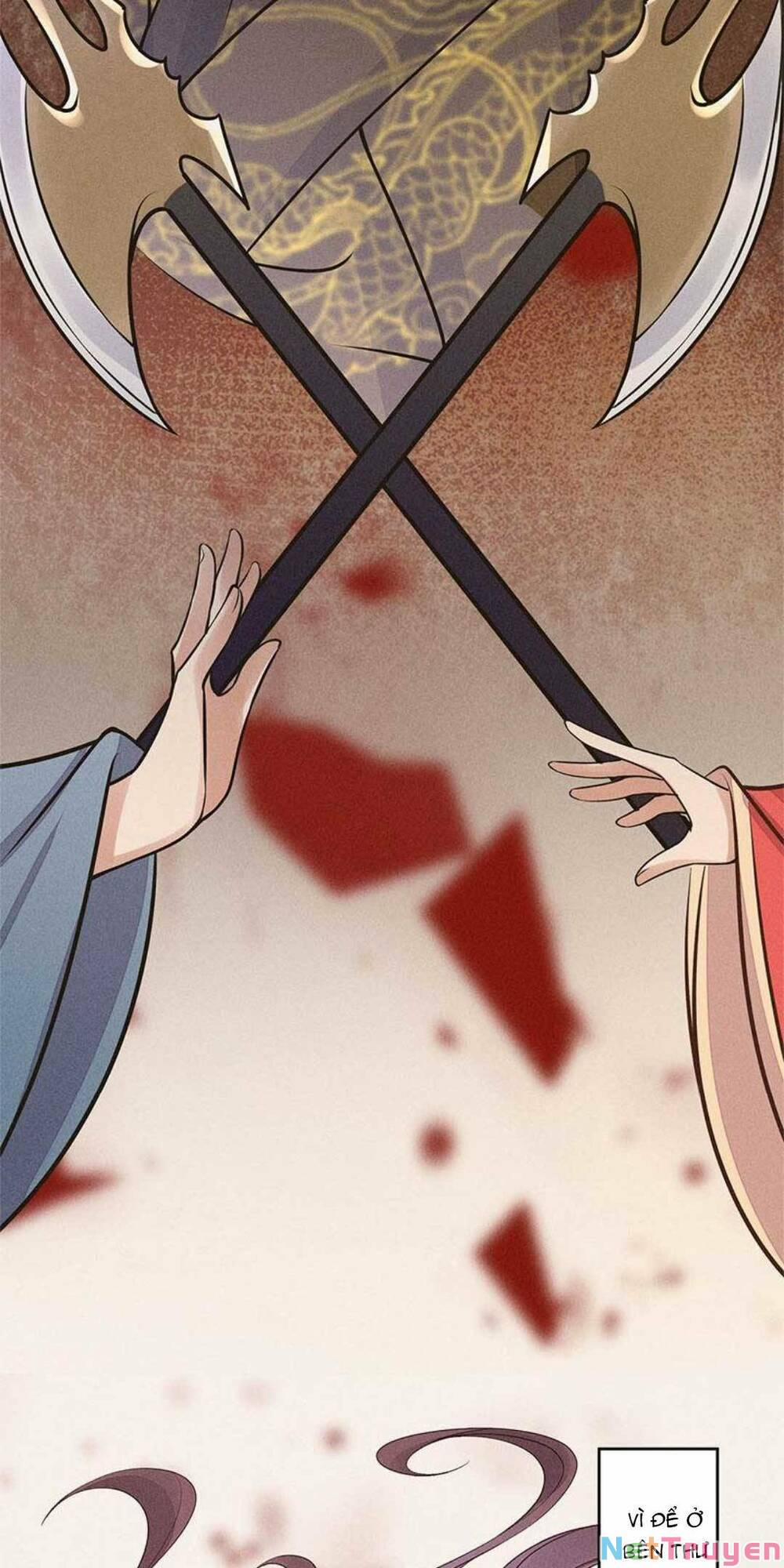 Tái Sinh Trở Lại : Ta Trở Thành Độc Y Thái Tử Phi 16 trang 11