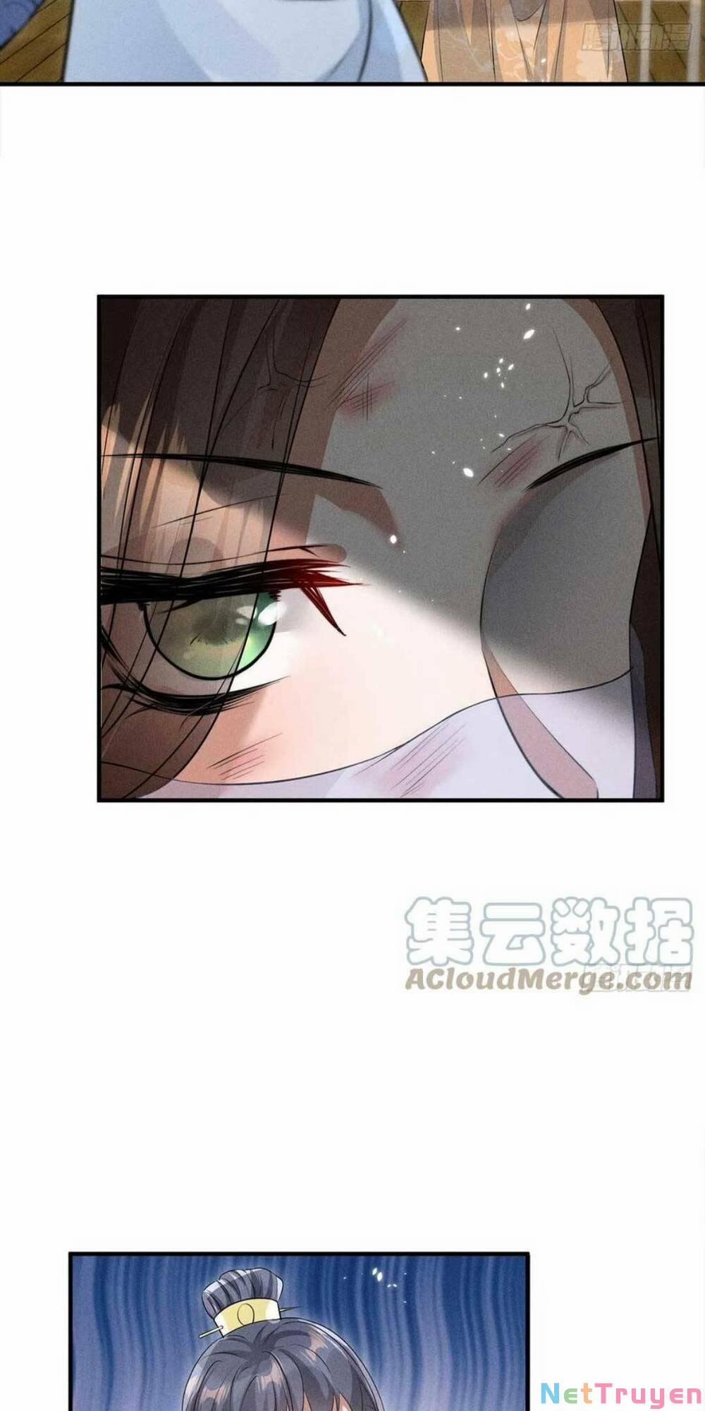 Tái Sinh Trở Lại : Ta Trở Thành Độc Y Thái Tử Phi 19 trang 17