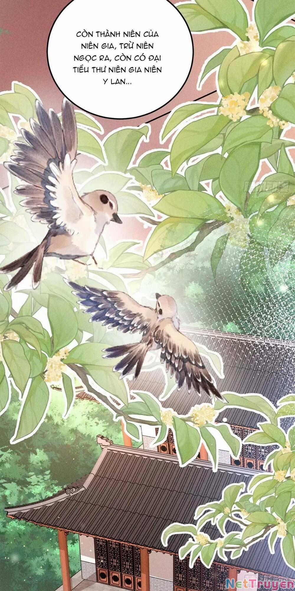 Tái Sinh Trở Lại : Ta Trở Thành Độc Y Thái Tử Phi 3 trang 19