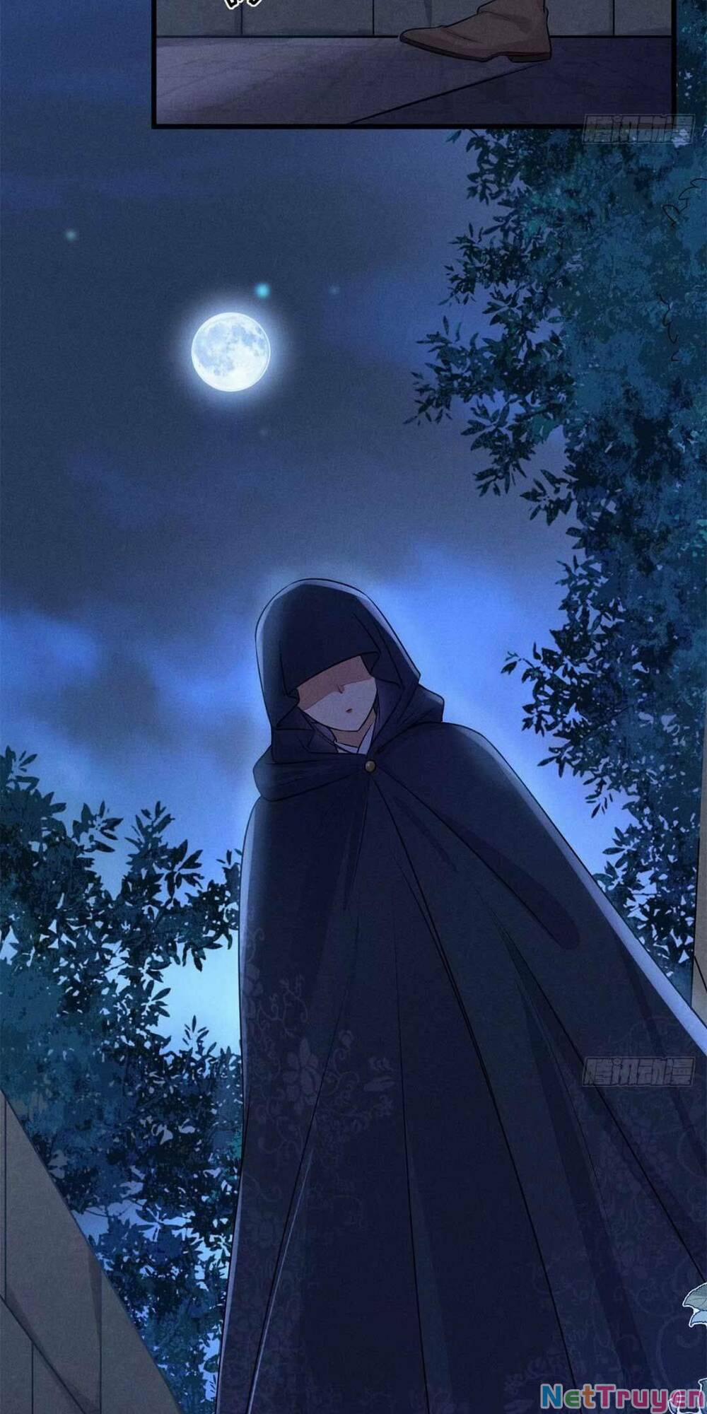 Tái Sinh Trở Lại : Ta Trở Thành Độc Y Thái Tử Phi 8 trang 3