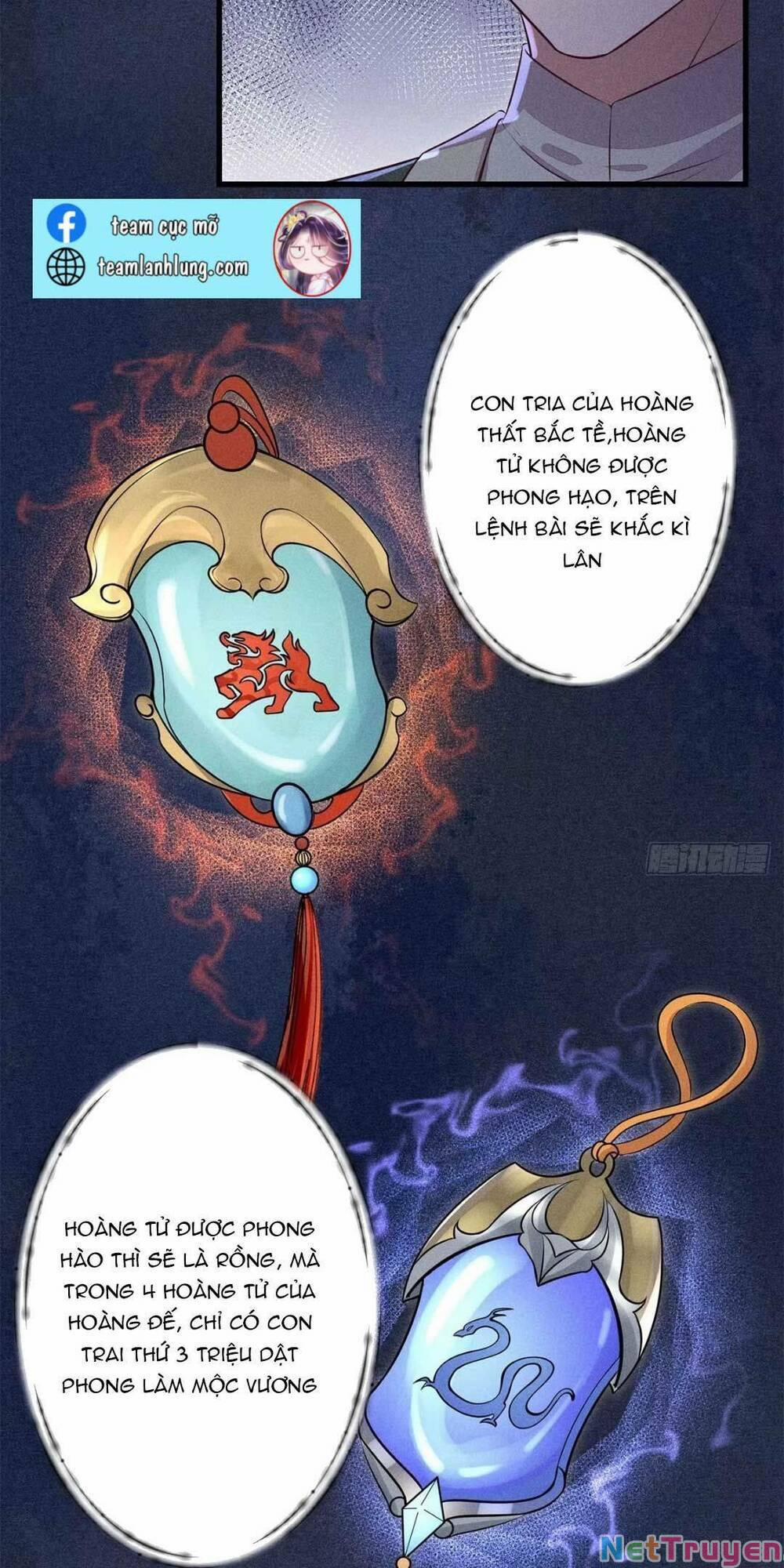 Tái Sinh Trở Lại : Ta Trở Thành Độc Y Thái Tử Phi 9 trang 18