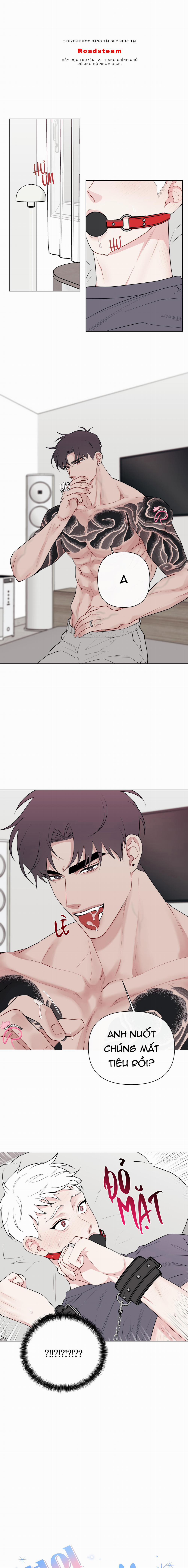 Tai Thỏ Dính Luôn Rồi 10 0 Ngoại truyện 3 trang 0