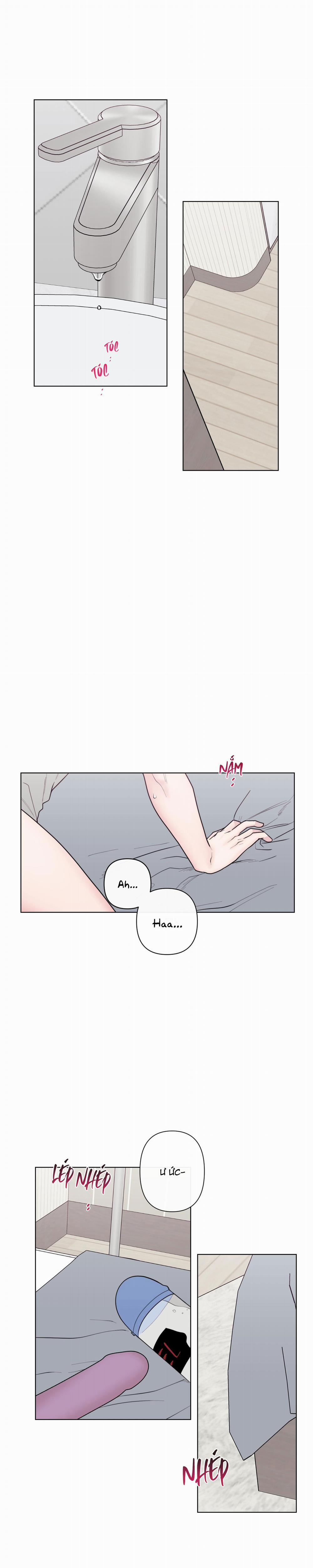 Tai Thỏ Dính Luôn Rồi 3 trang 0