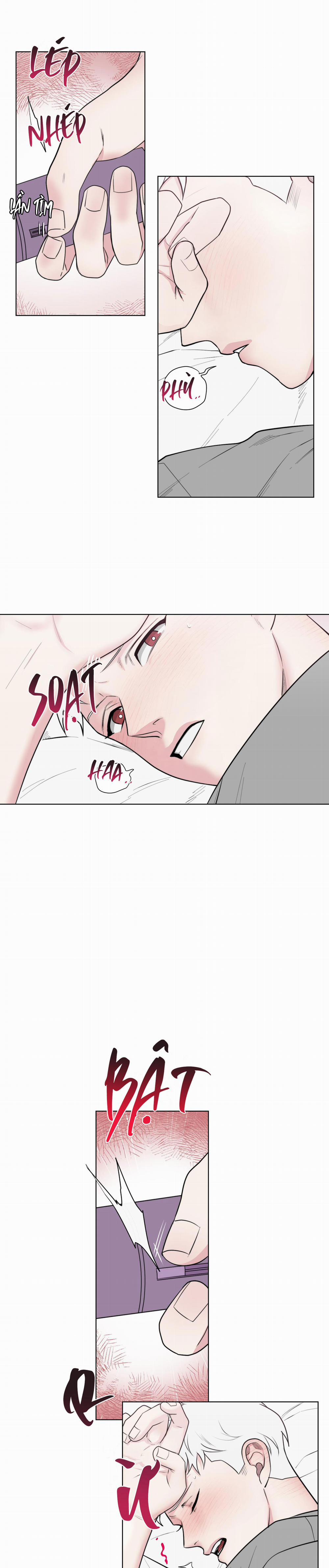 Tai Thỏ Dính Luôn Rồi 3 trang 8