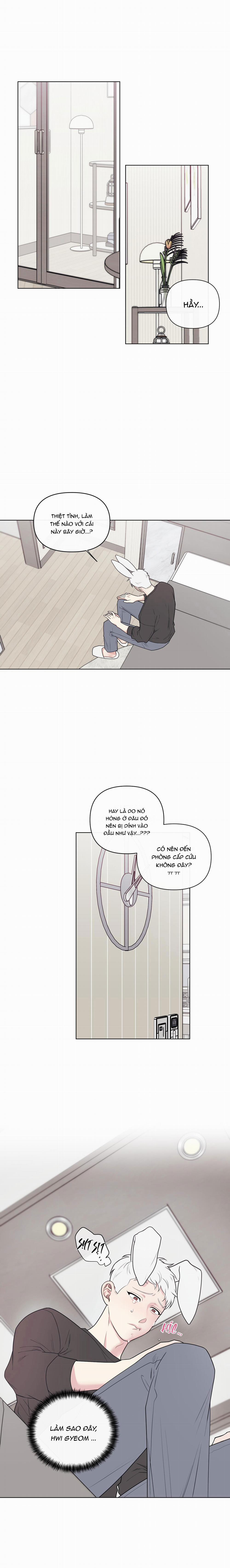 Tai Thỏ Dính Luôn Rồi 4 trang 0