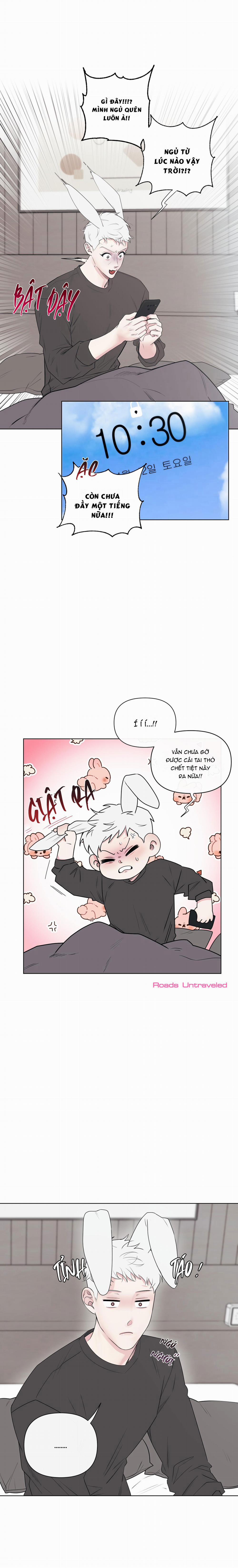 Tai Thỏ Dính Luôn Rồi 4 trang 4