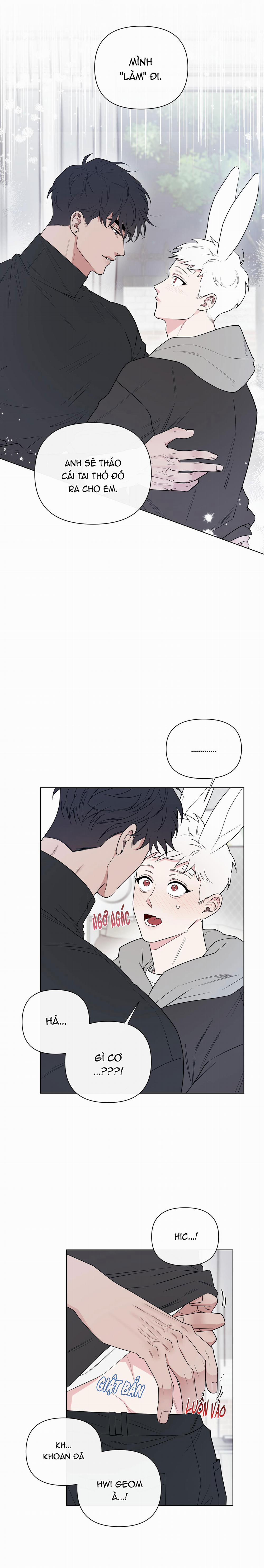 Tai Thỏ Dính Luôn Rồi 6 trang 0