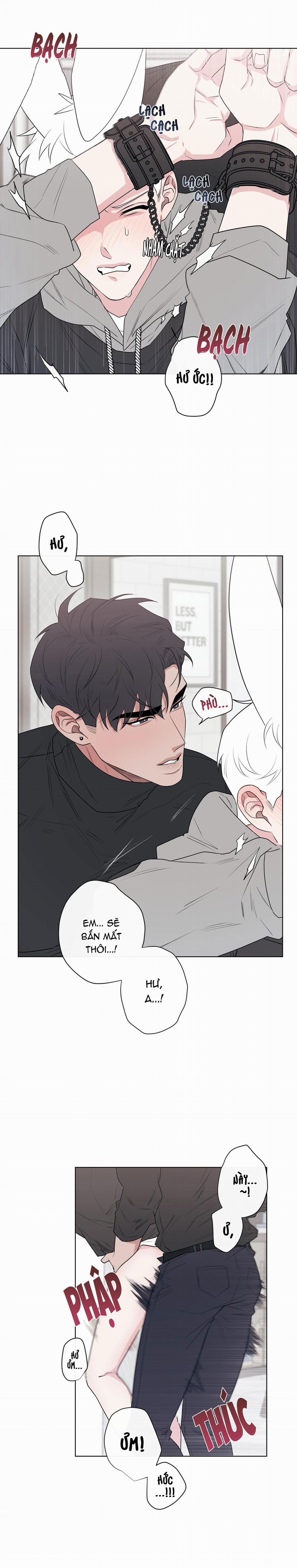 Tai Thỏ Dính Luôn Rồi 6 trang 10