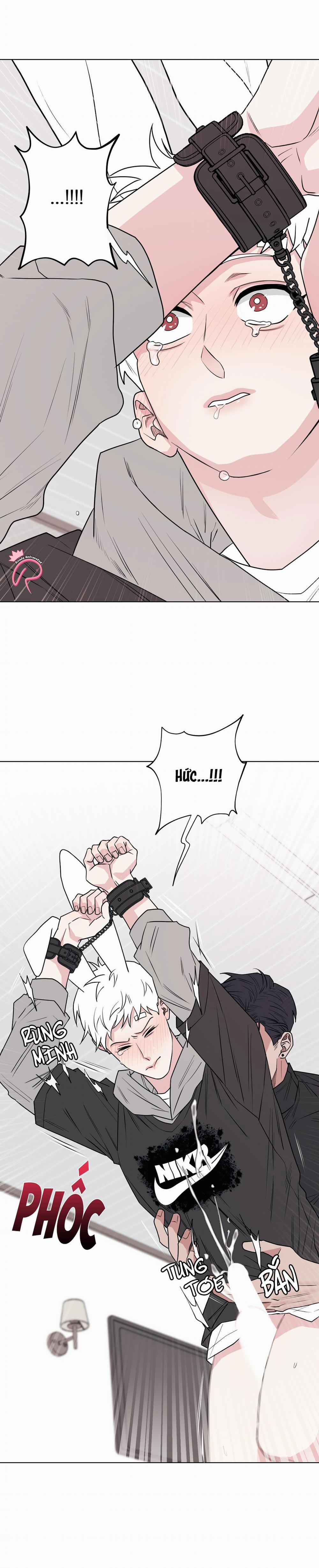 Tai Thỏ Dính Luôn Rồi 6 trang 11