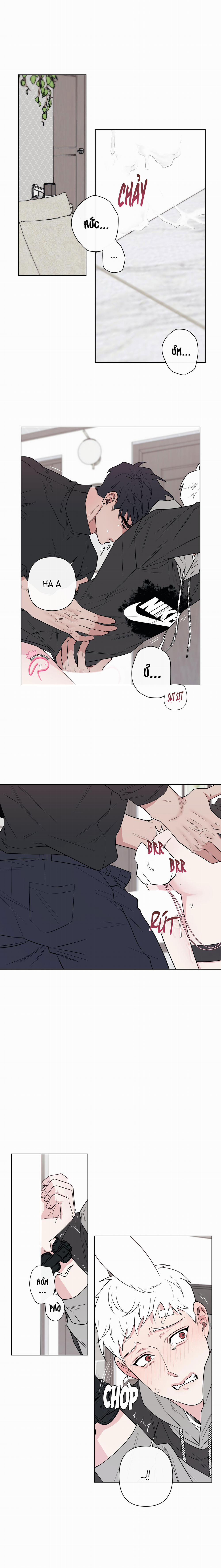 Tai Thỏ Dính Luôn Rồi 6 trang 12