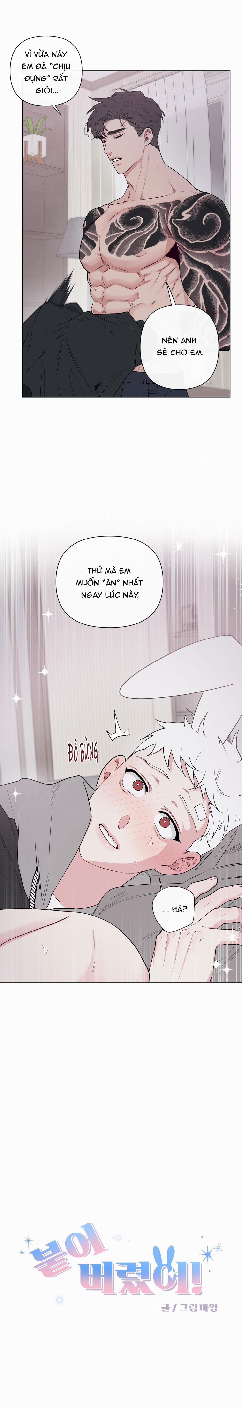 Tai Thỏ Dính Luôn Rồi 7 trang 0